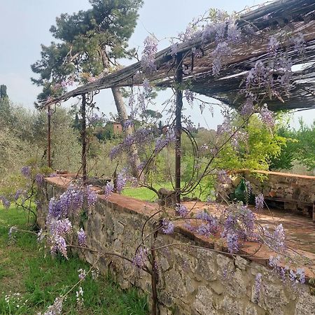 Casa Ezio Marchi - Due Appartamenti E Una Family Suite Bettolle Bagian luar foto