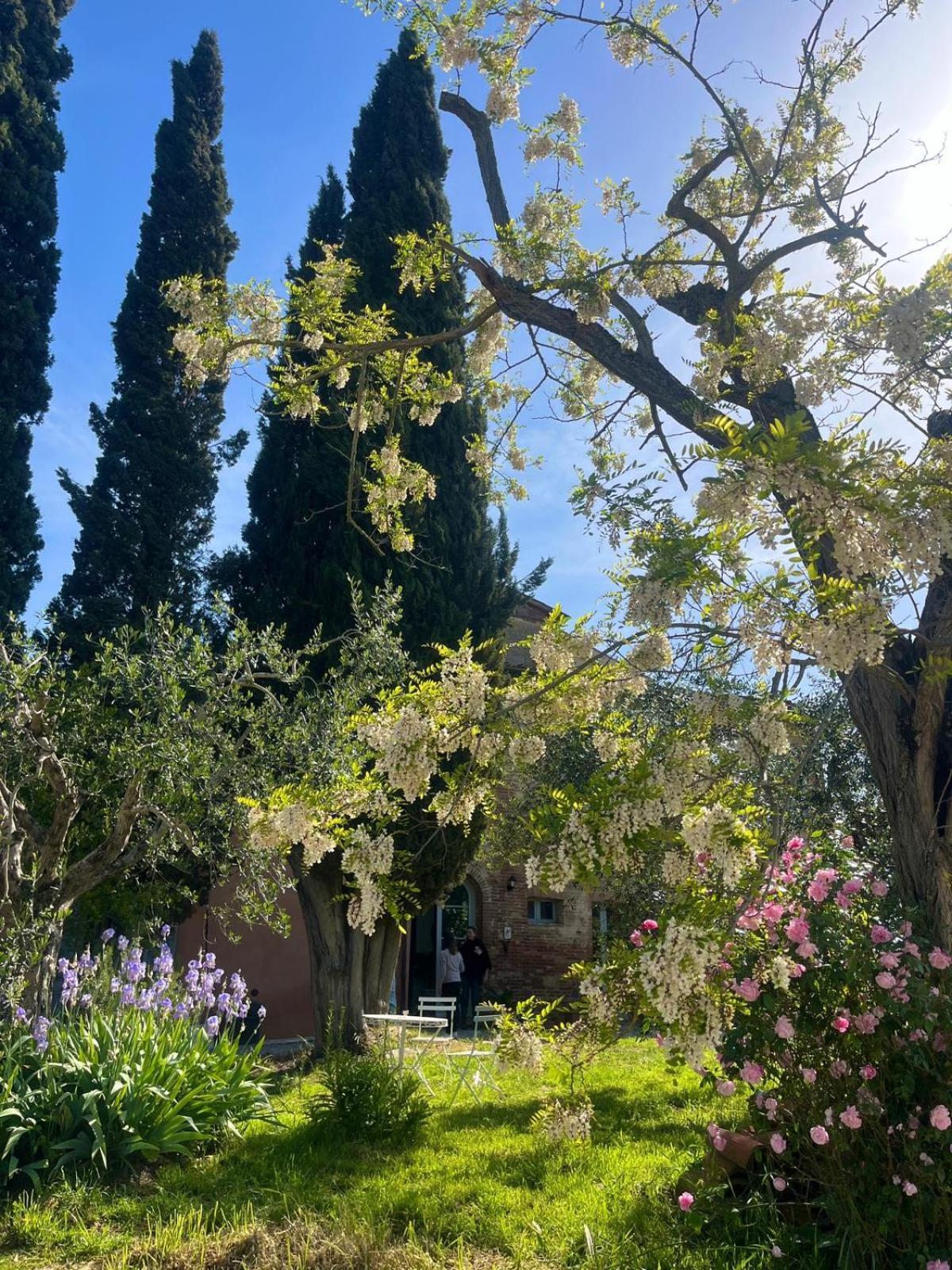 Casa Ezio Marchi - Due Appartamenti E Una Family Suite Bettolle Bagian luar foto