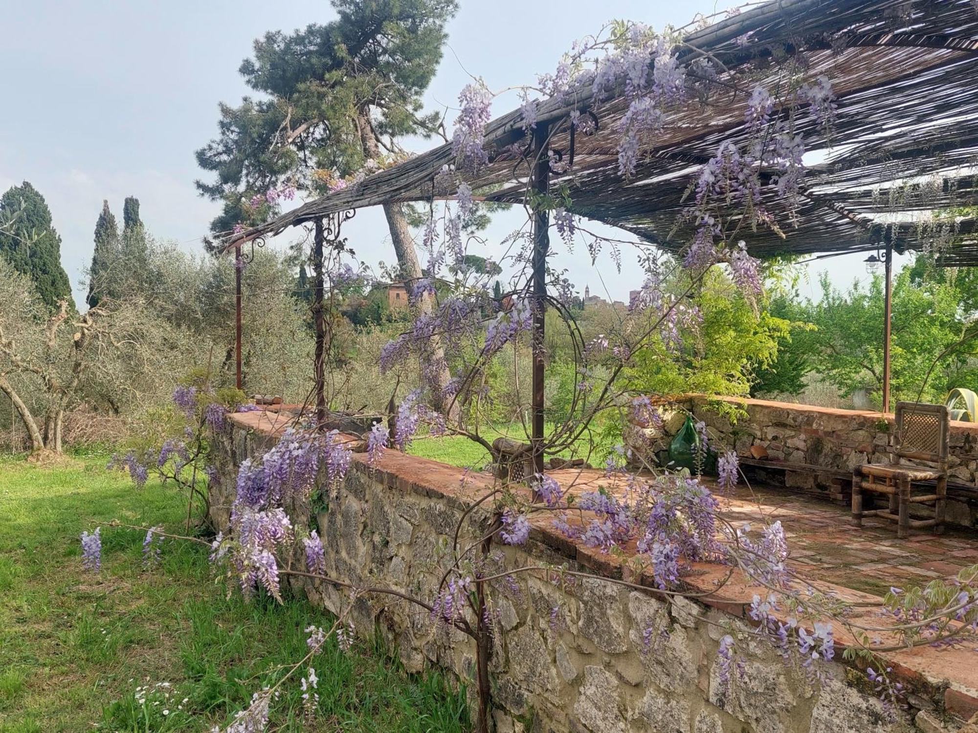Casa Ezio Marchi - Due Appartamenti E Una Family Suite Bettolle Bagian luar foto
