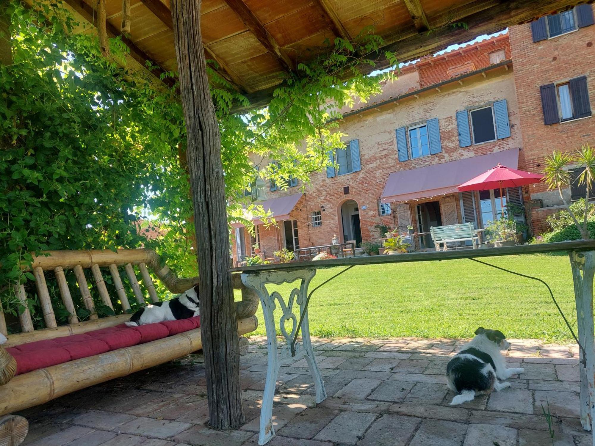 Casa Ezio Marchi - Due Appartamenti E Una Family Suite Bettolle Bagian luar foto