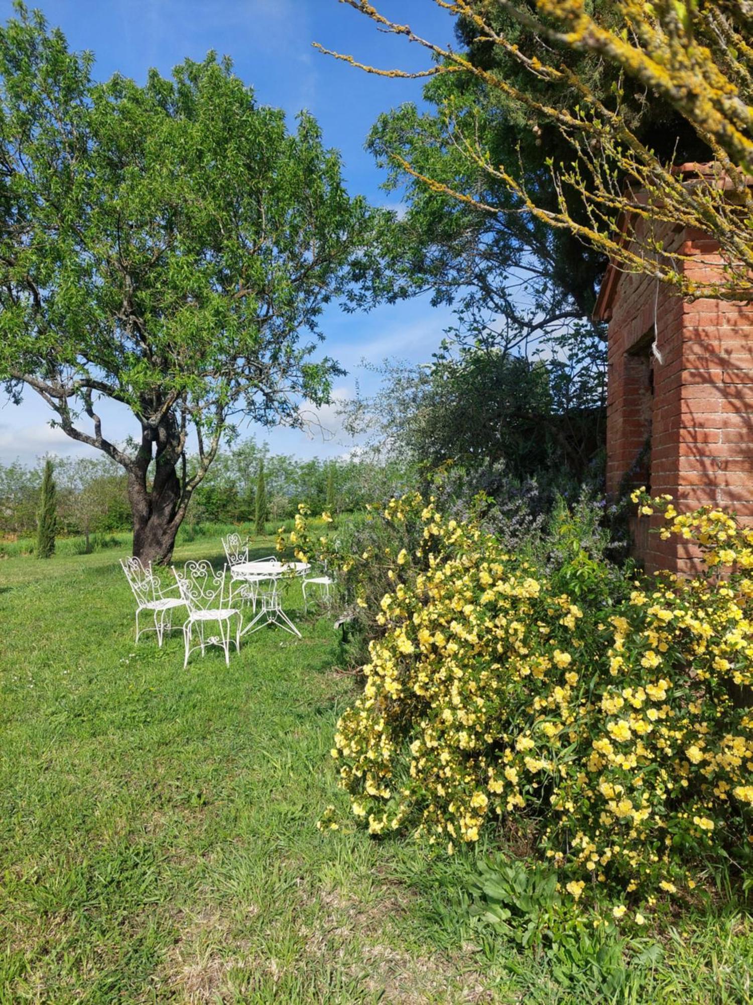 Casa Ezio Marchi - Due Appartamenti E Una Family Suite Bettolle Bagian luar foto