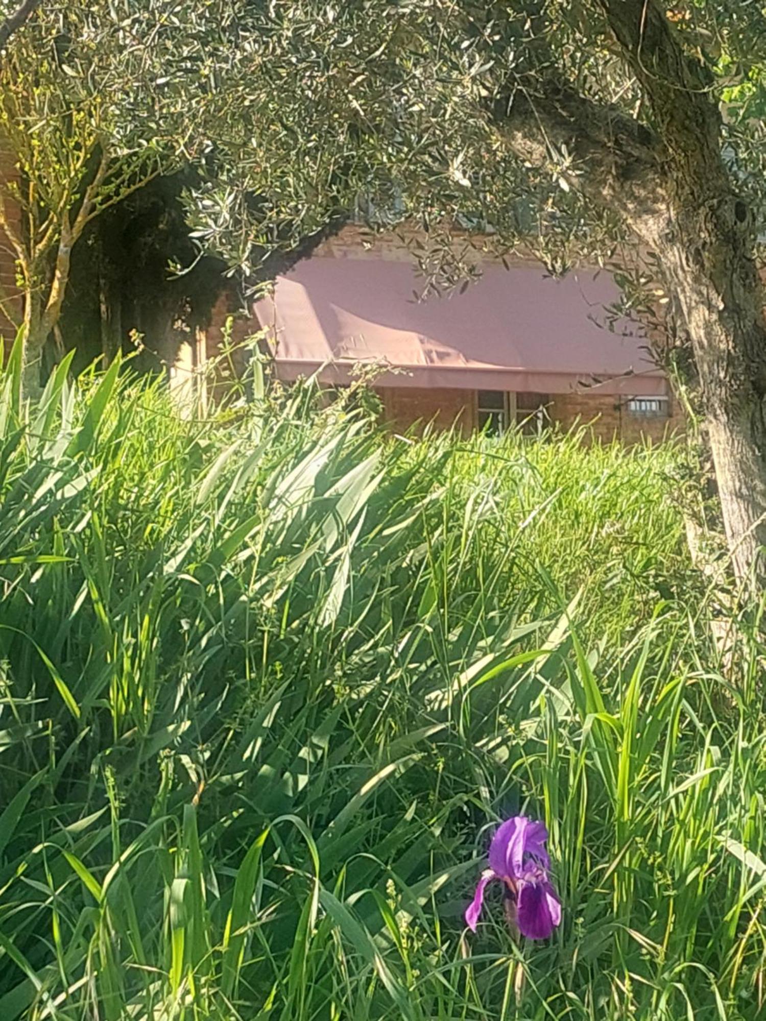 Casa Ezio Marchi - Due Appartamenti E Una Family Suite Bettolle Bagian luar foto