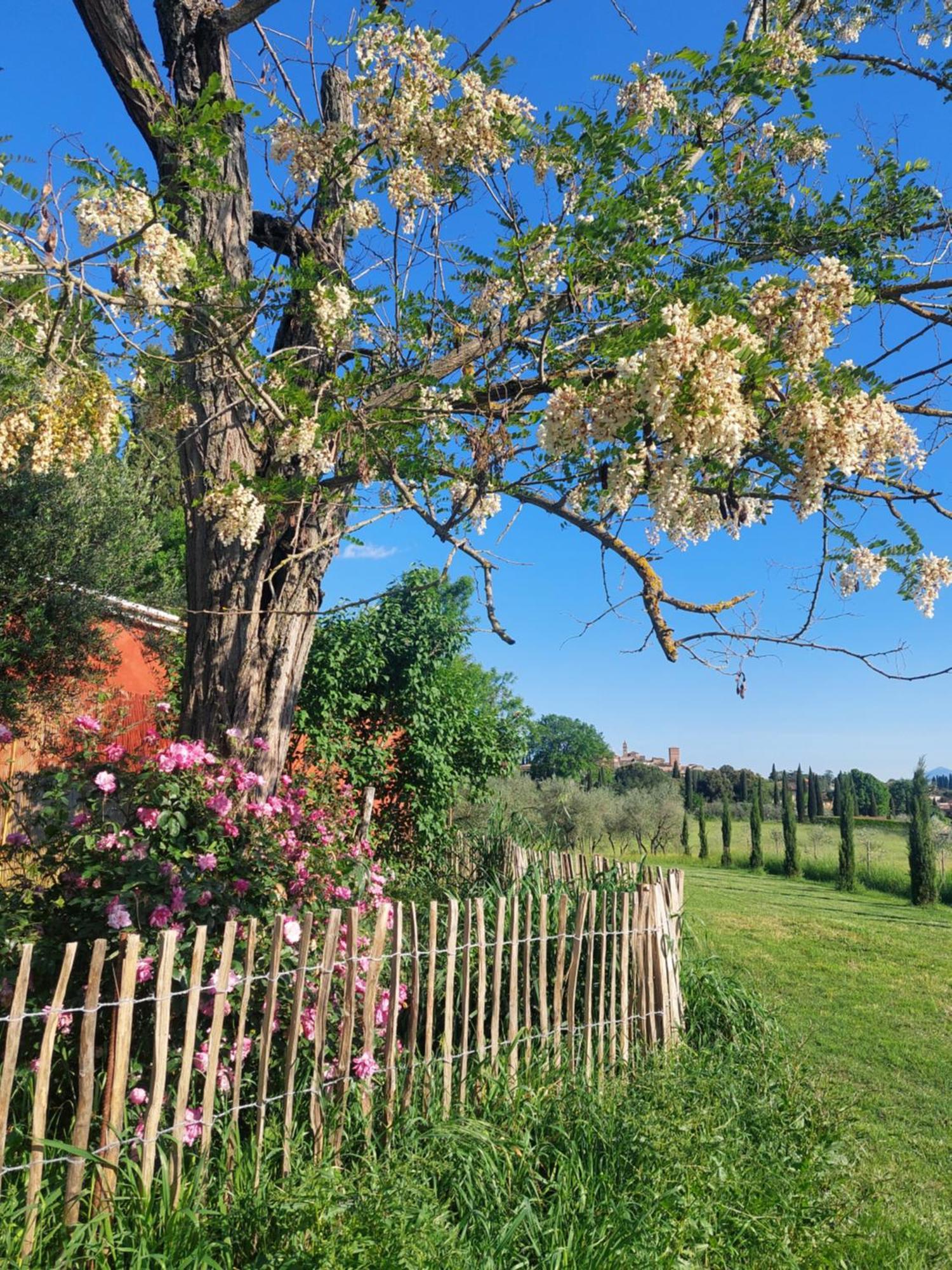 Casa Ezio Marchi - Due Appartamenti E Una Family Suite Bettolle Bagian luar foto